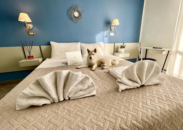 Camera standard con letto king size